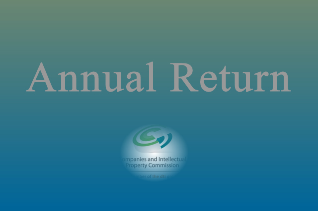 Annual Return 